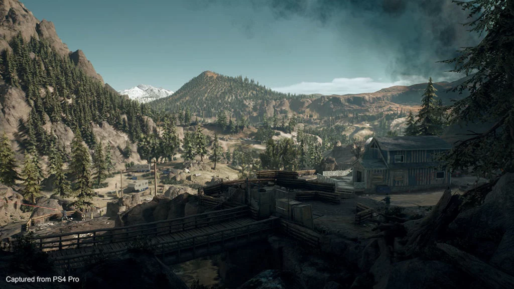 Days Gone