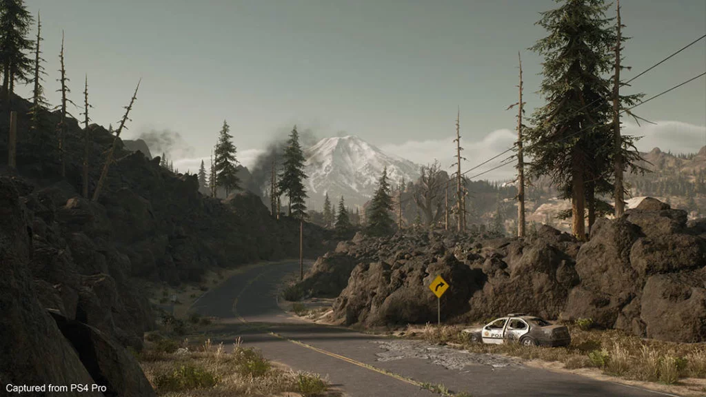Days Gone