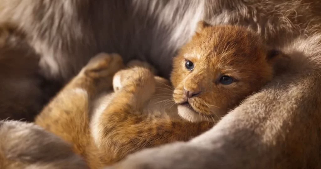 El Rey León
