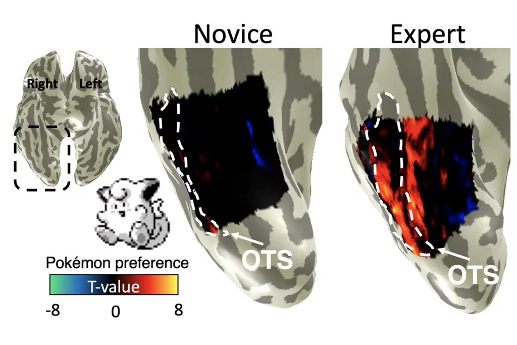 Pokémon Estudio