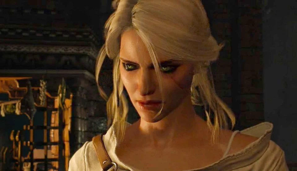 the witcher 3