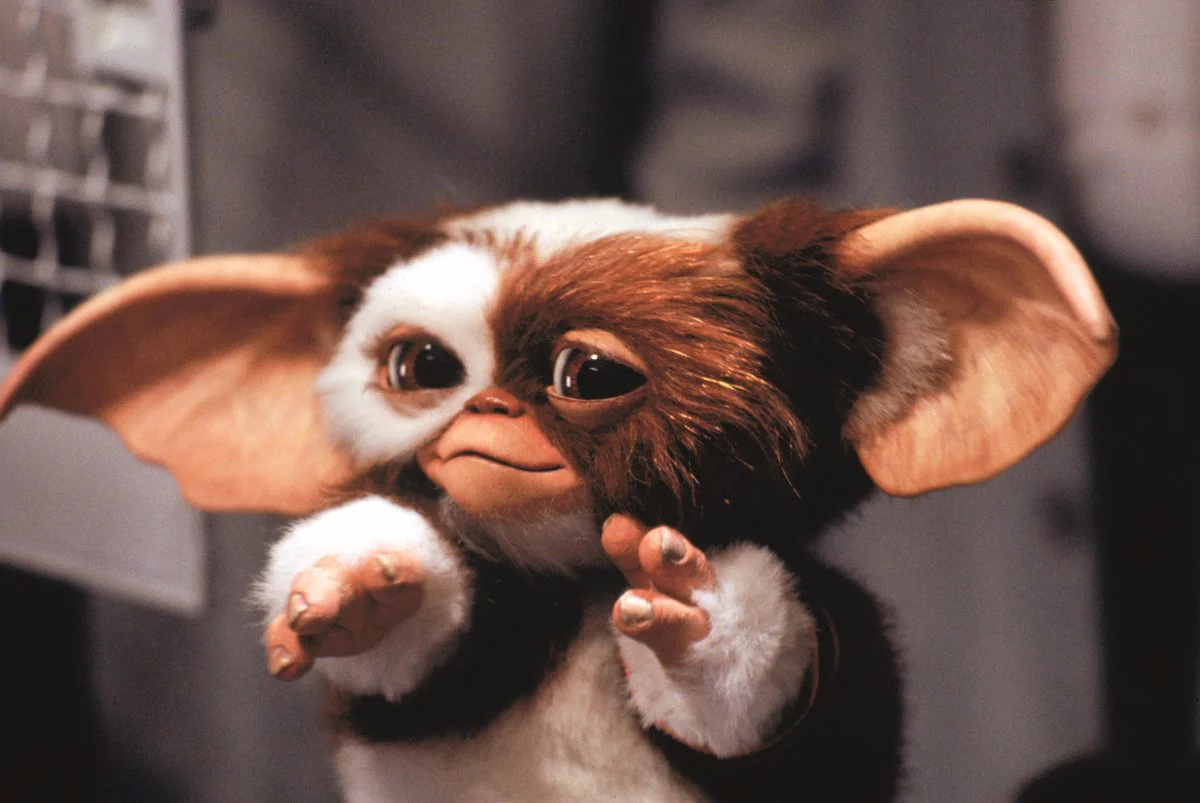 gremlins steven spielberg