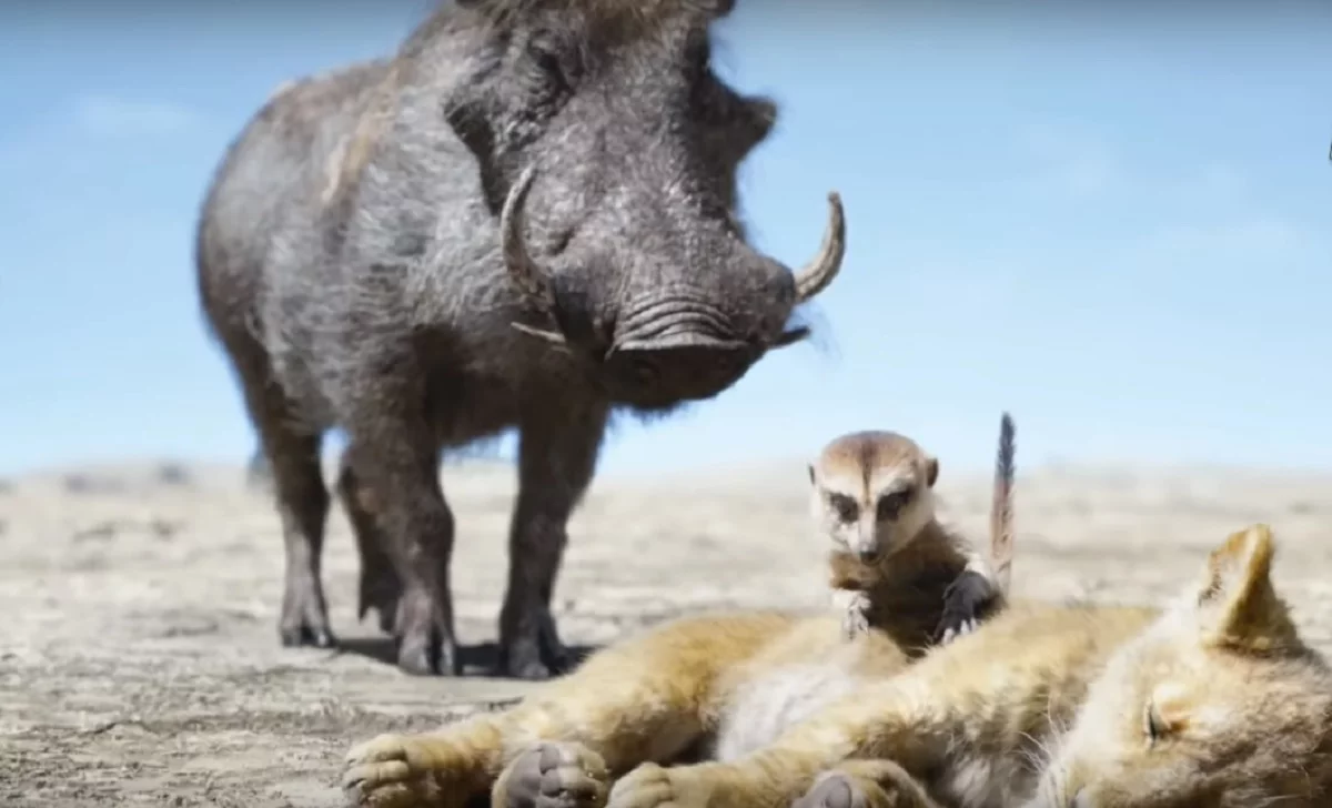 Imagen de Timón y Pumba protagonizan el nuevo clip de El Rey León