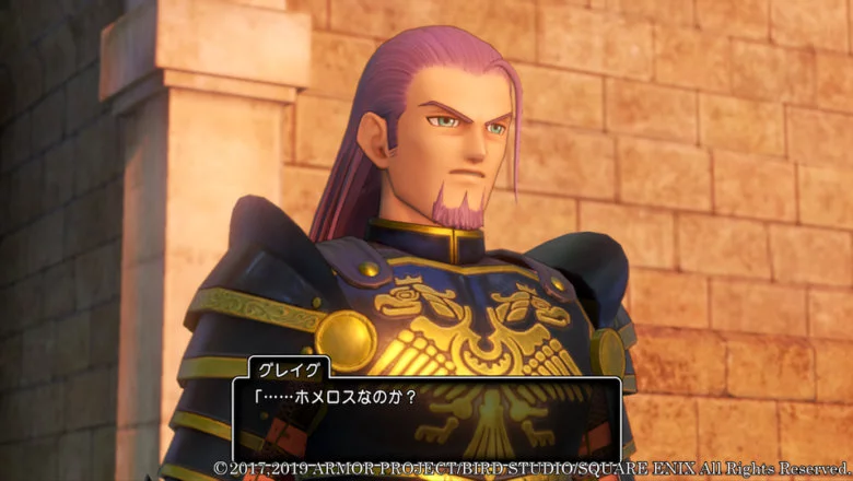 Dragon Quest XI S 20