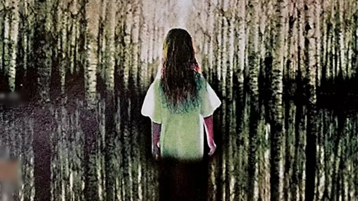 Imagen de La novela La chica que amaba a Tom Gordon, de Stephen King, será adaptada a película