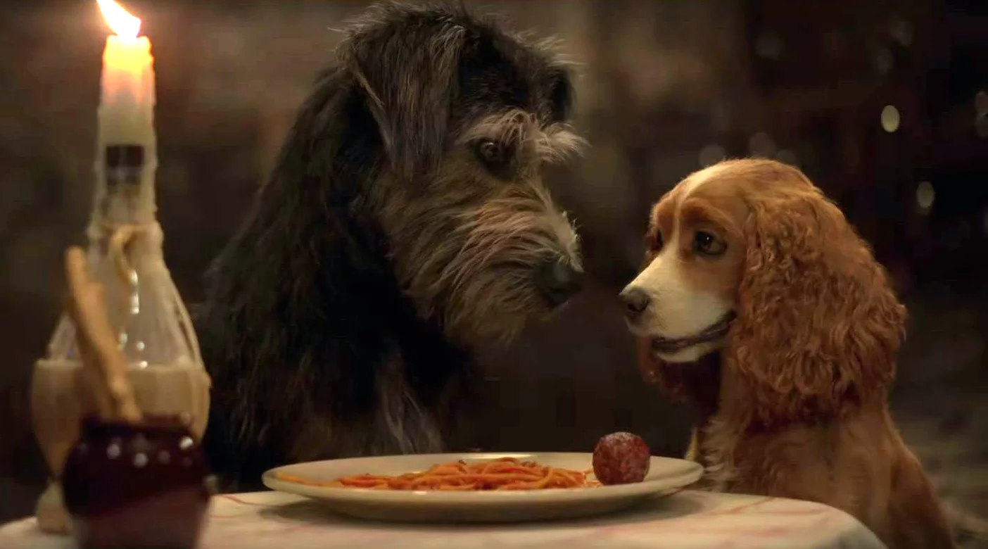 Imagen de La dama y el vagabundo: primer tráiler oficial de la nueva película de Disney+