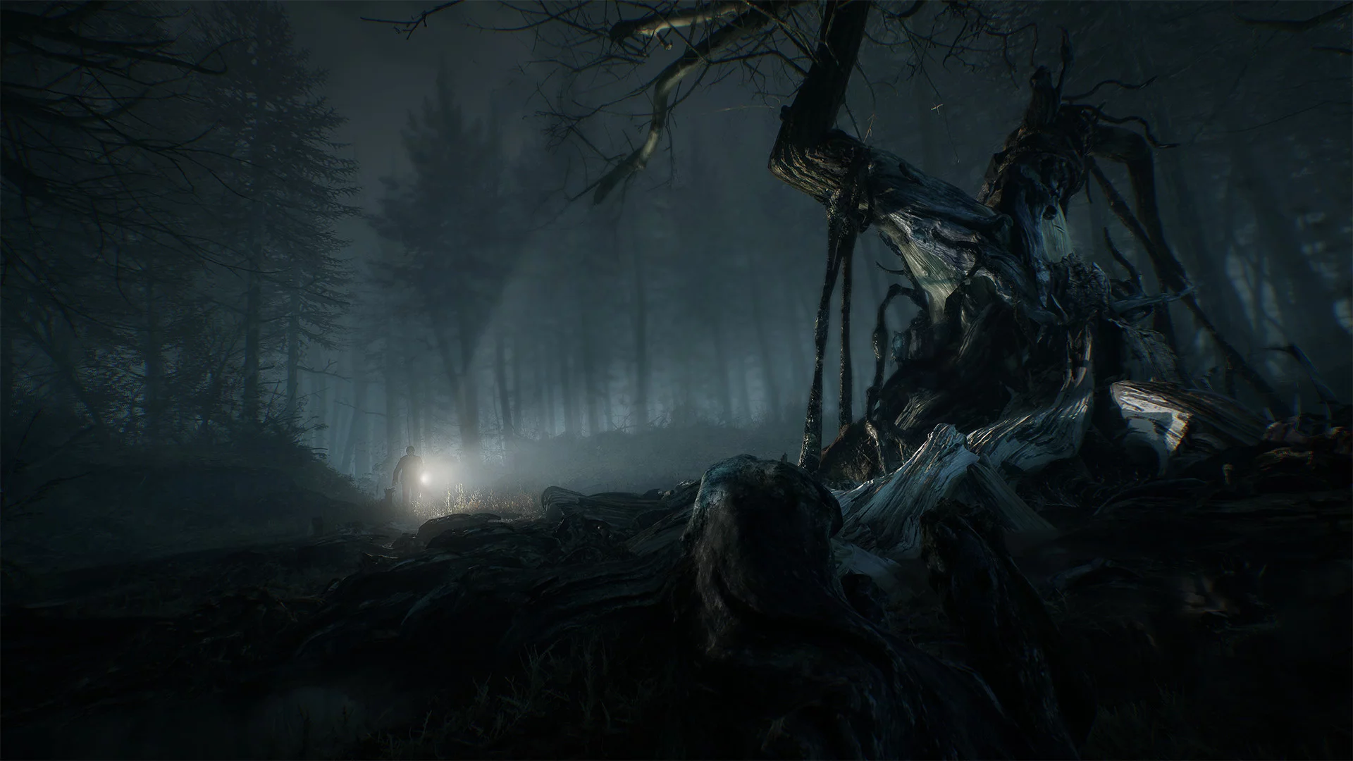 Imagen de Blair Witch celebra su llegada al mercado con el tráiler de lanzamiento