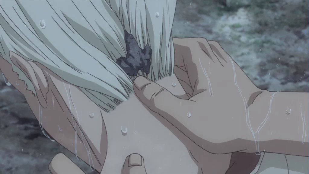 Dr. Stone