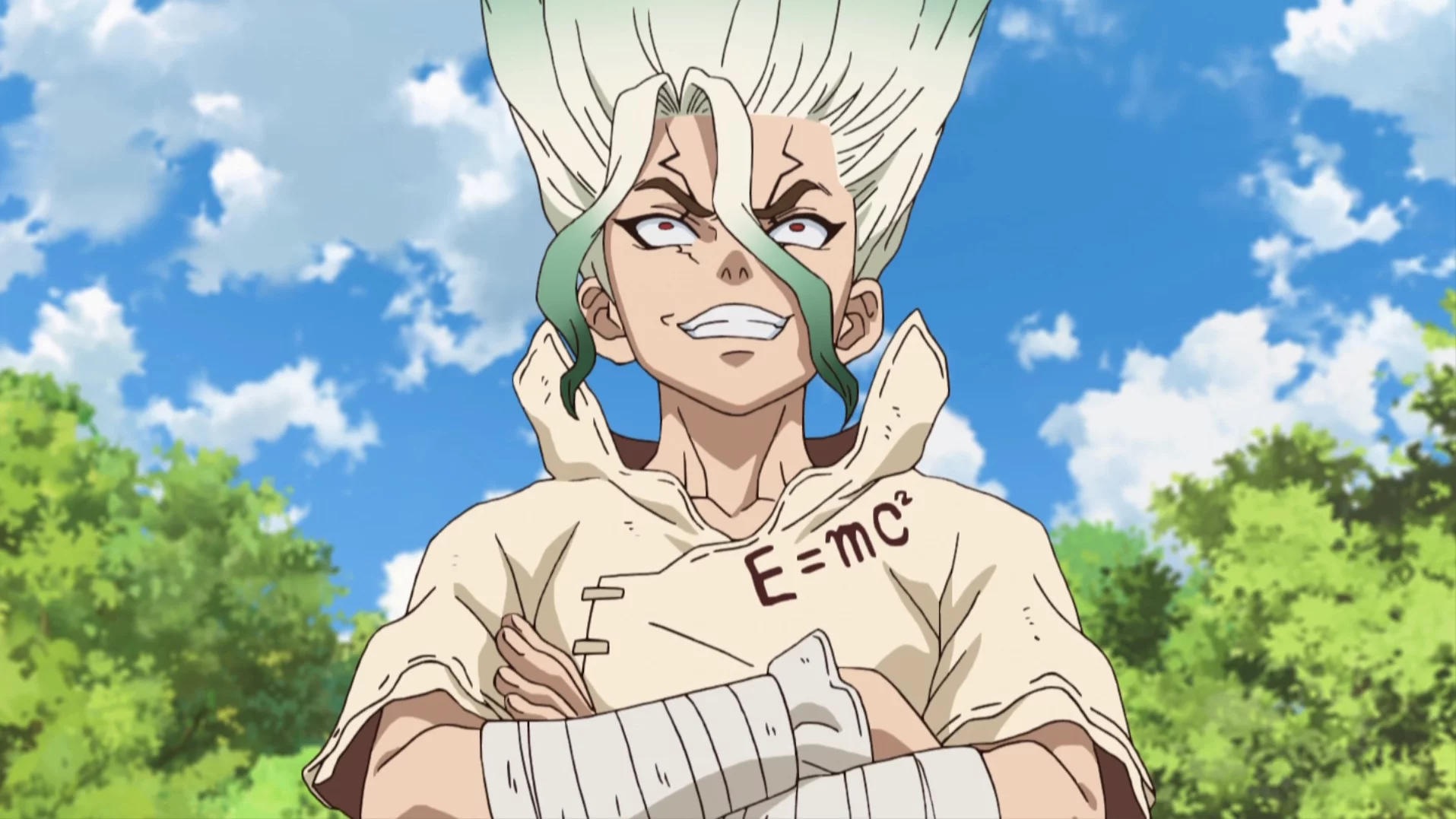 dr. stone