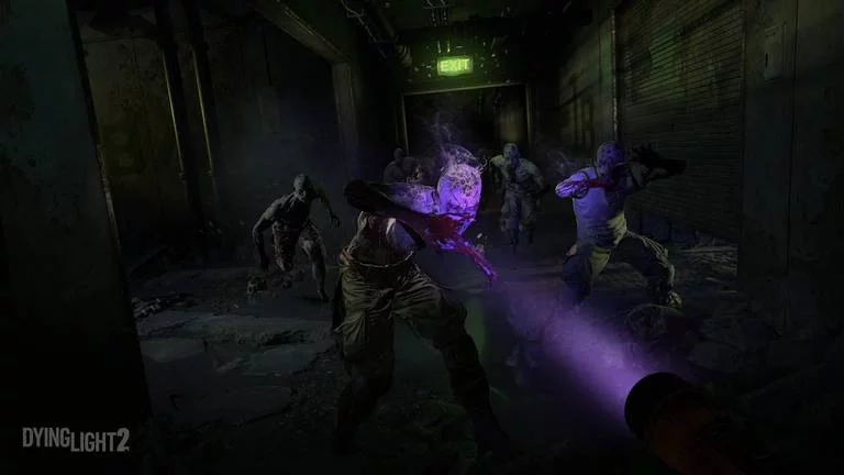 dying light 2 screen