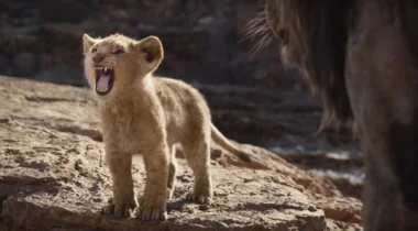 lion king