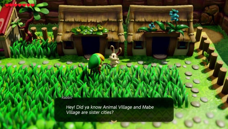 The Legend of Zelda Links Awakening Aldea Animal