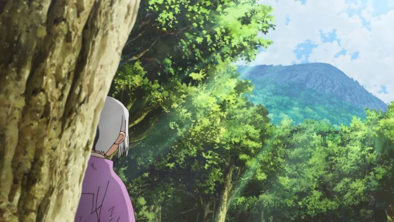 dr. stone