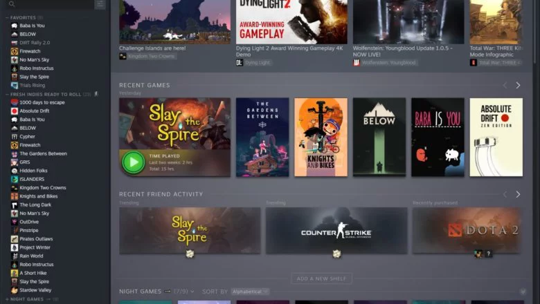steam imagen 1