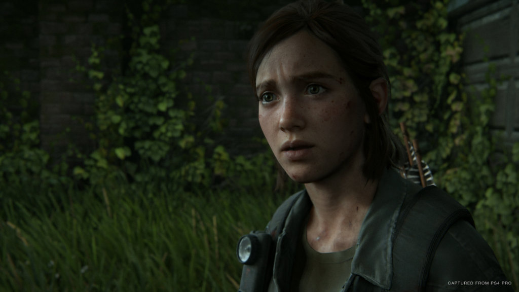 The Last of Us 2 Sony