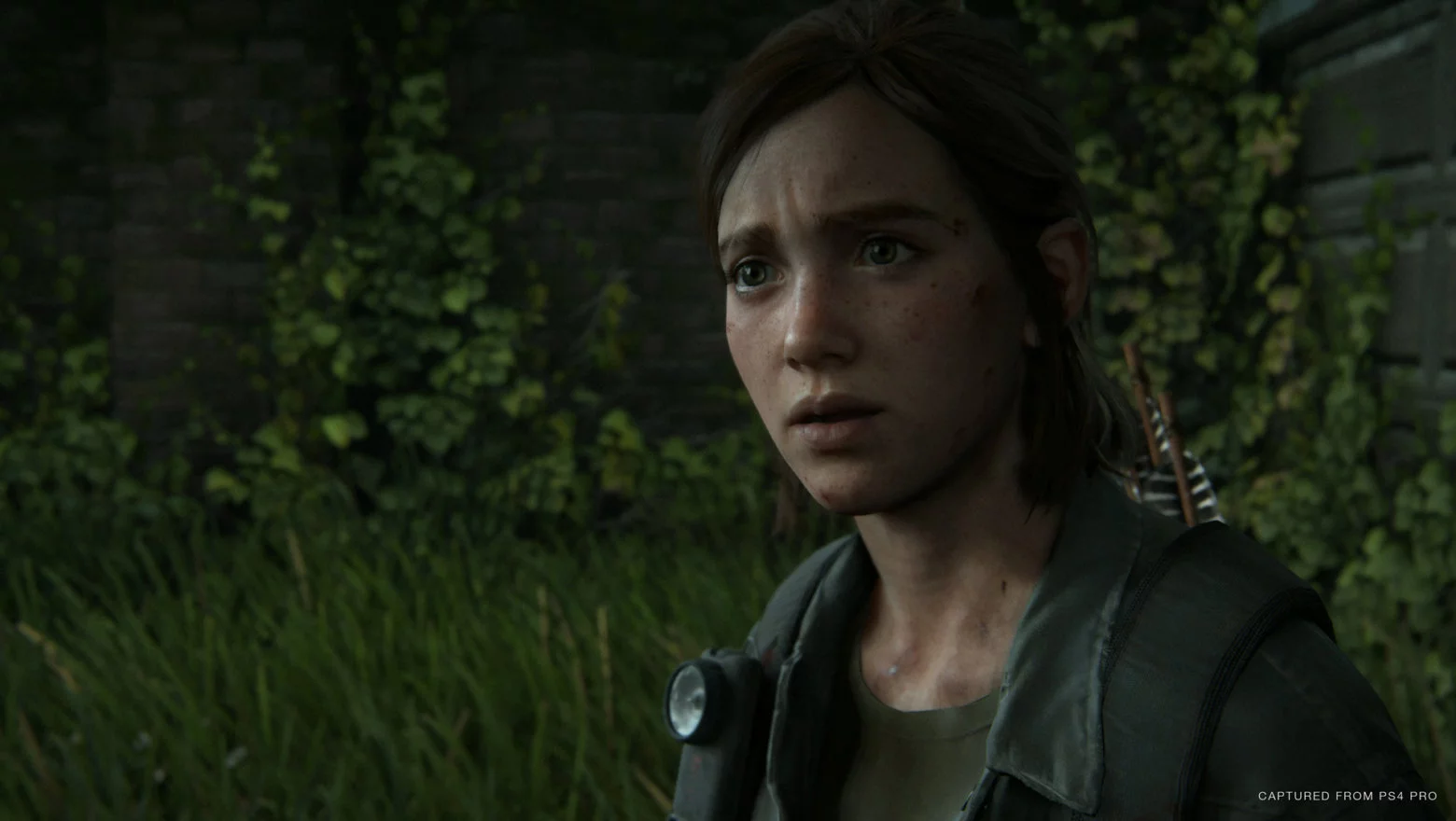 The Last of Us 2 Sony