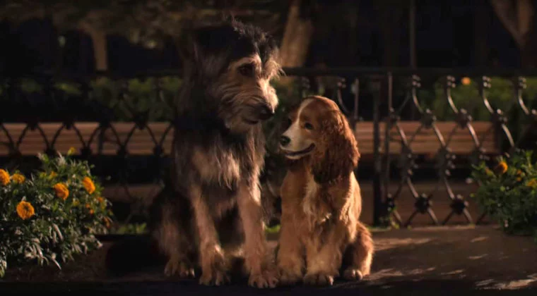 Imagen de El amor se va de aventura en el nuevo tráiler de La dama y el vagabundo