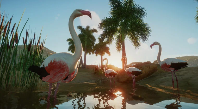Imagen de Los creadores de Planet Coaster anuncian nuevo simulador para PC: Planet Zoo