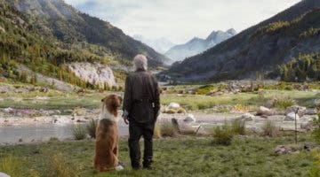 Imagen de La supervivencia de un perro y Harrison Ford se exhibe en el primer tráiler de Call of the Wild