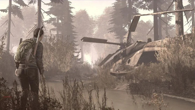 DayZ
