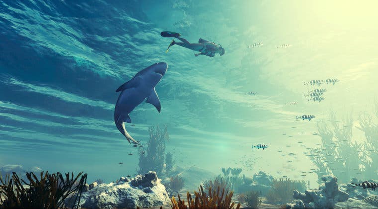Imagen de Man Eater, el juego de mundo abierto de tiburones, pone fecha a su lanzamiento con un nuevo tráiler