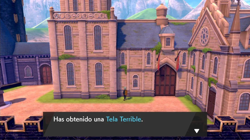 Pokemon Espada y Escudo objetos 3