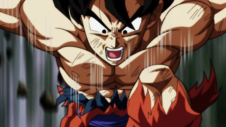 Dragon Ball Z y Dragon Ball Super