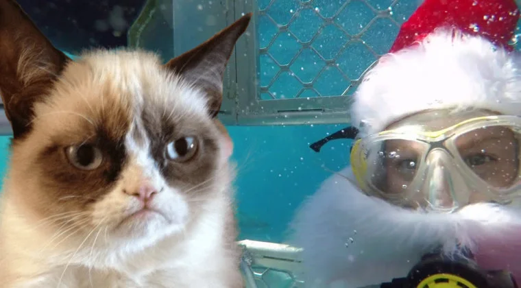 Imagen de Top 5 peores películas navideñas de la década: Solo en Casa con tiburones y otros bodrios festivos
