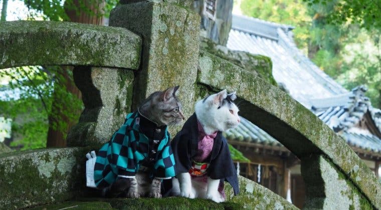 Imagen de Kimetsu no Yaiba: transforman a sus personajes en gatos y miembros de Shin-chan