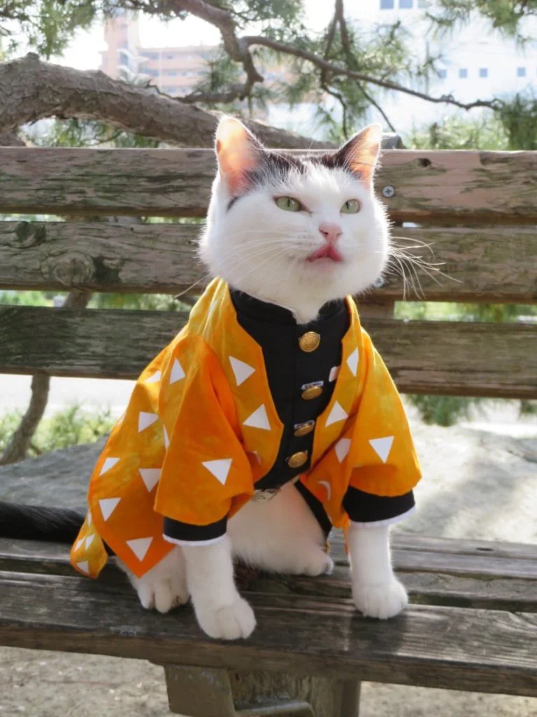 kimetsu no yaiba gatos 4