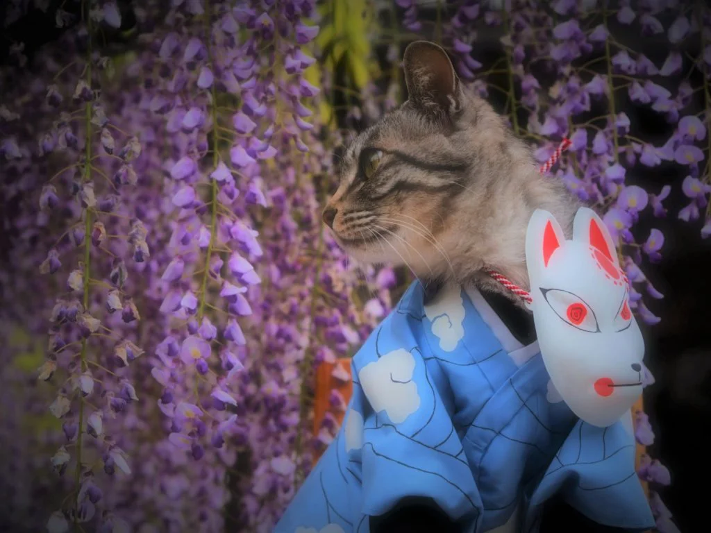 kimetsu no yaiba gatos 8