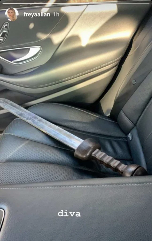 the witcherr