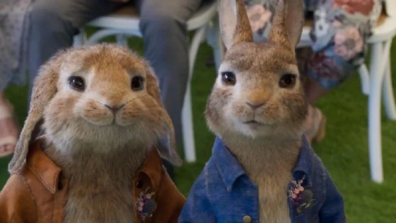 Peter Rabbit 2