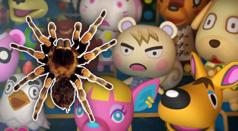 Imagen de Animal Crossing: New Horizons - Truco para hacer aparecer más tarántulas
