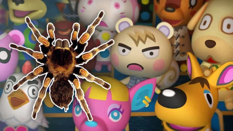 Animal Crossing New Horizons tarántulas