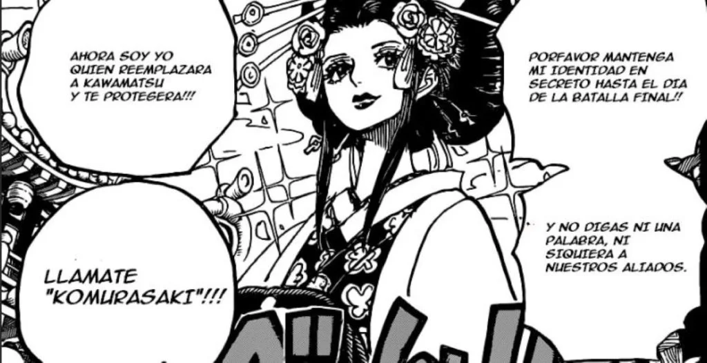 one piece 973 komurasaki