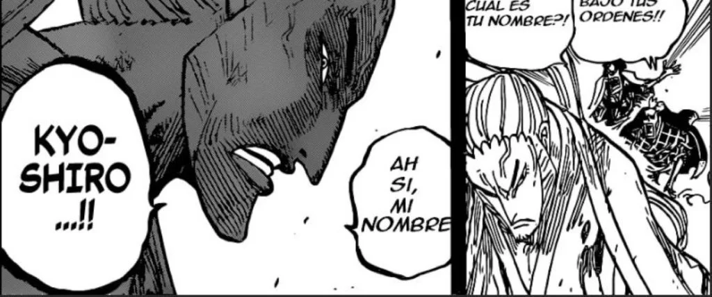one piece 973 kyoshiro
