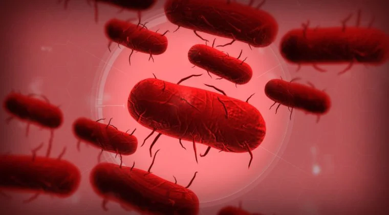Imagen de Plague Inc. fue retirado de China por falta de sensibilidad, entre otros motivos