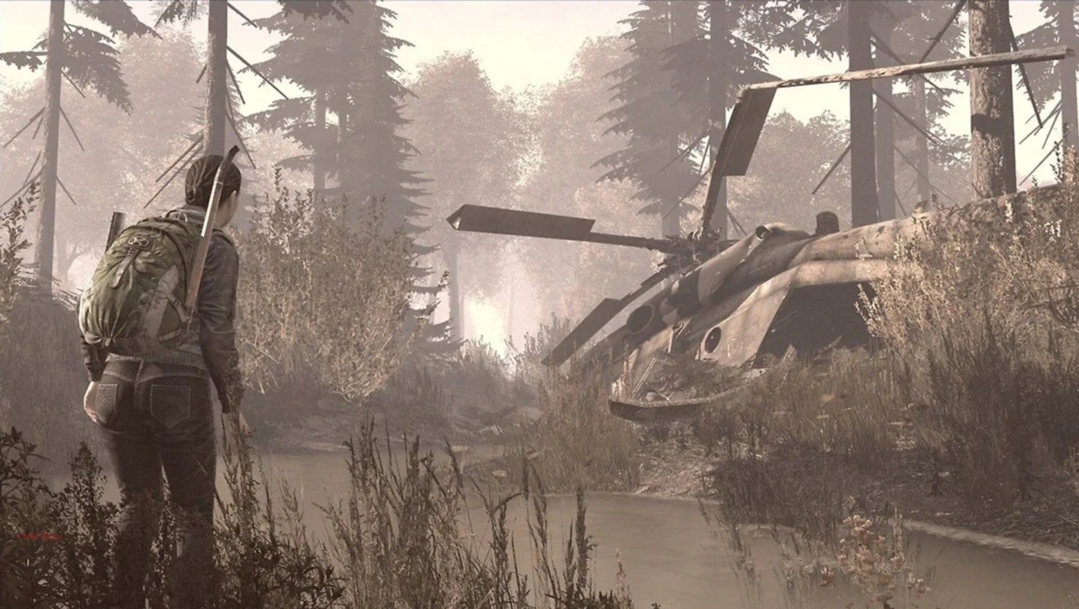 DayZ
