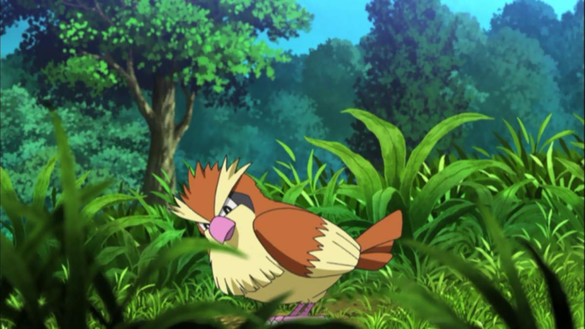 Pokémon GO em todo lugar: lutador de WWE captura Pidgey durante