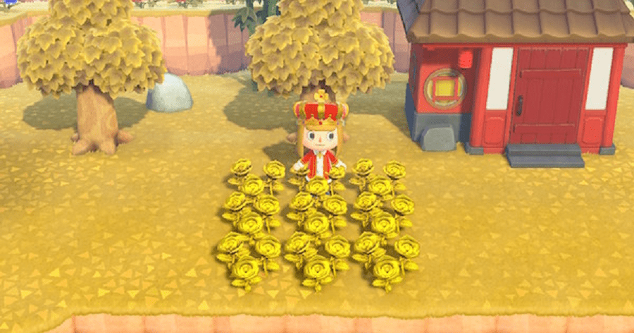animal crossing rosa dorada