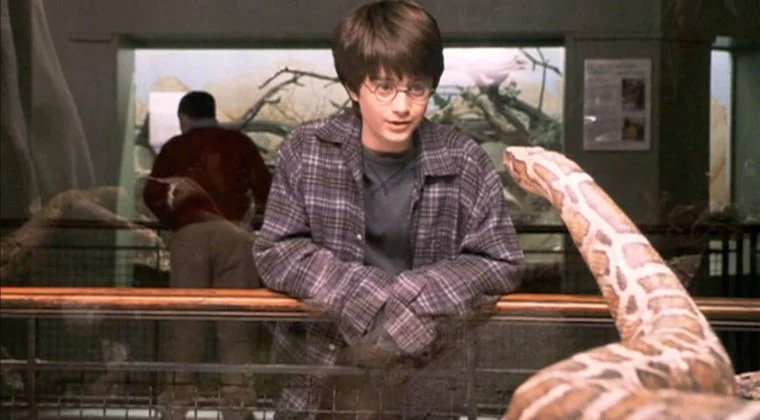 Imagen de Harry Potter: descubren una especie de serpiente y la nombran en honor a Salazar Slytherin