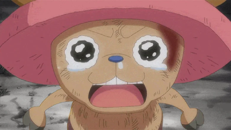 one-piece-chopper