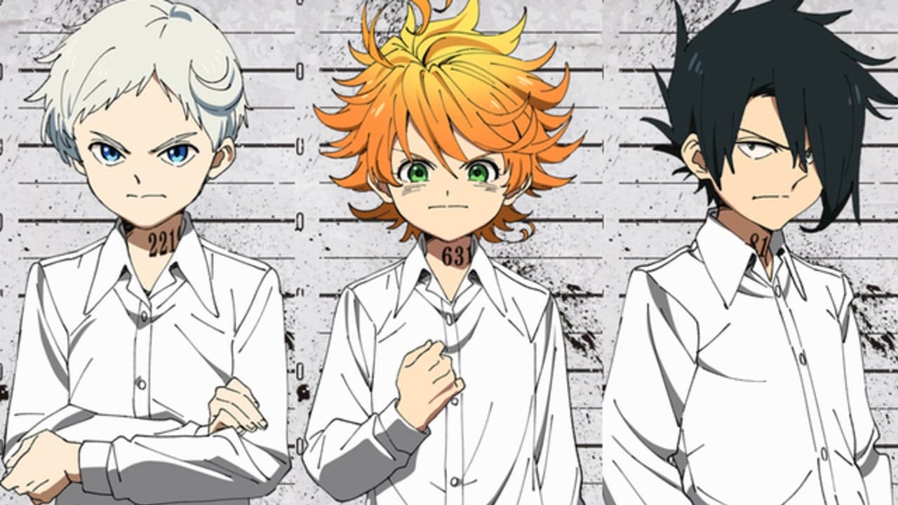 ✓ The Promised Neverland