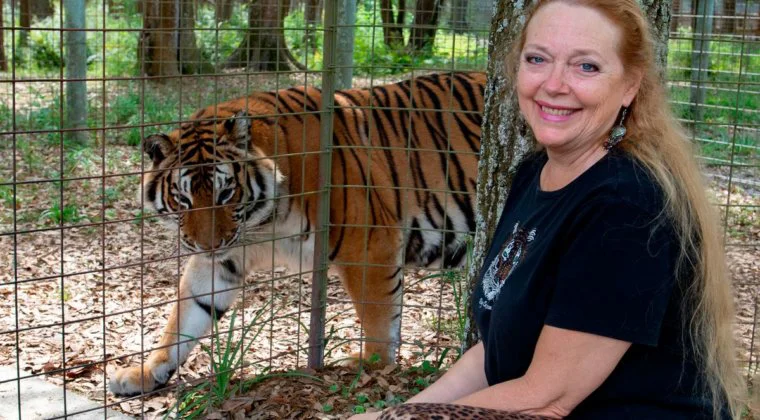 Imagen de Tiger King 2 investigará la desaparición del marido de Carole Baskin
