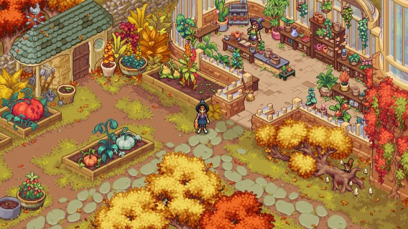 witchbrook 2