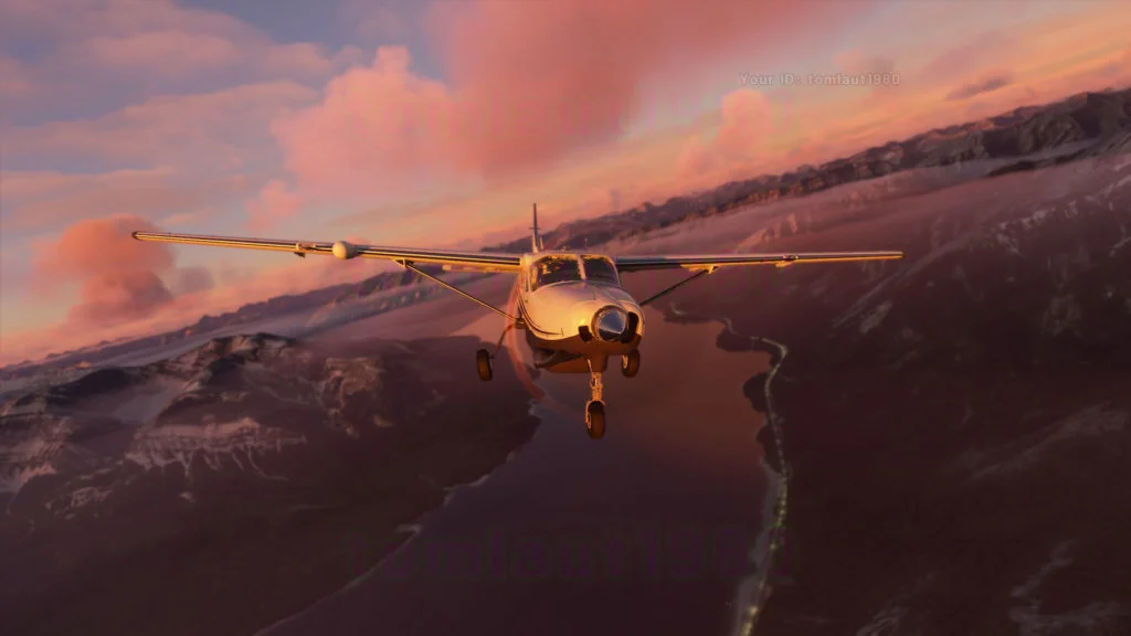 flight simulator 1