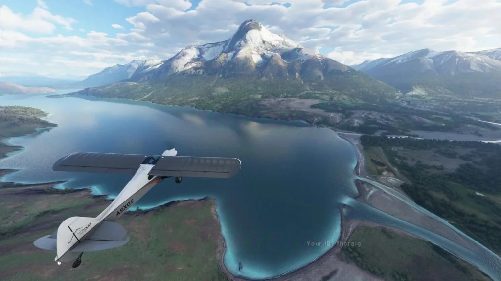 microsoft flight simulator 1 1