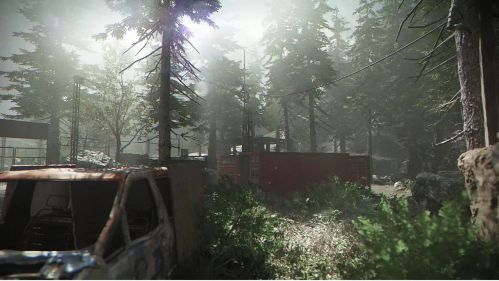 Pine