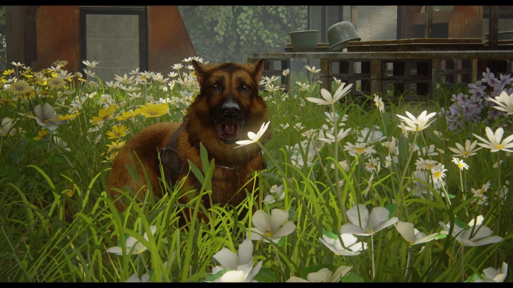 The Last of Us™ Parte II 20200622213224